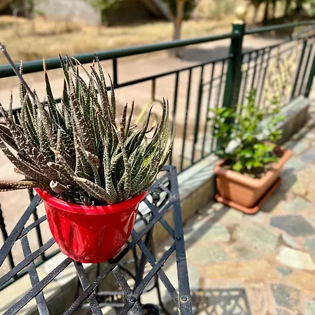 Kolovos House Hébergement de vacances